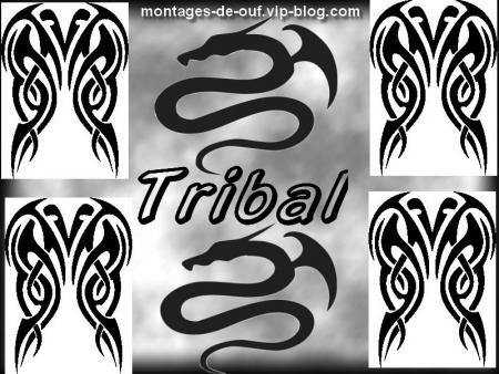 Montage Tribal